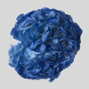 HYDRANGEAS - ELECTRIC BLUE